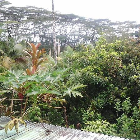 Lava Tree Tropic Inn Pahoa Екстер'єр фото