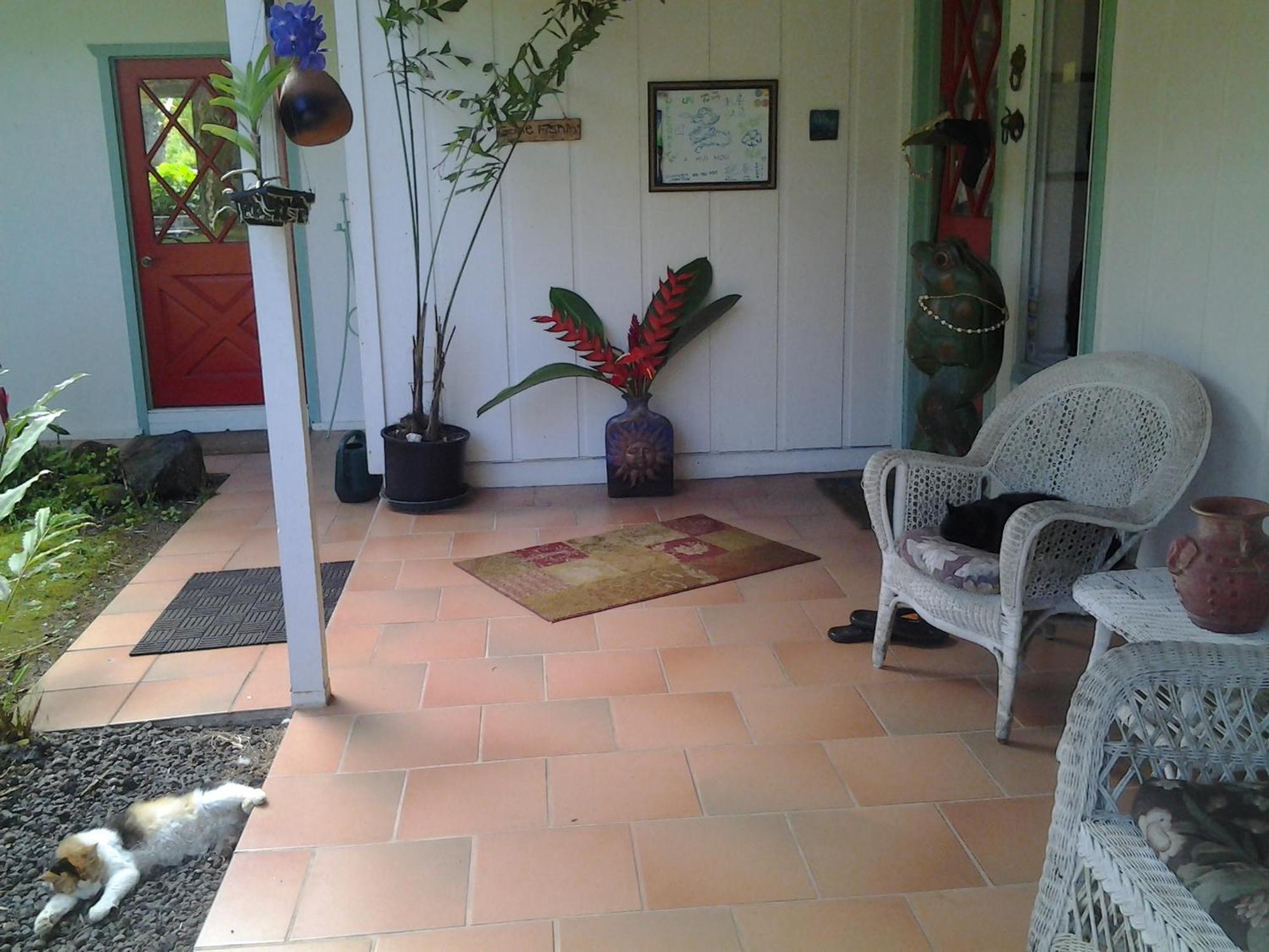 Lava Tree Tropic Inn Pahoa Екстер'єр фото