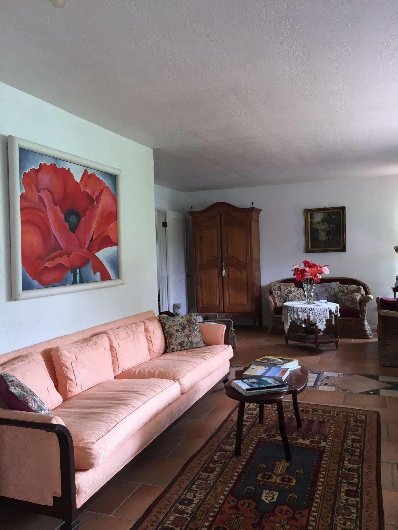Lava Tree Tropic Inn Pahoa Екстер'єр фото